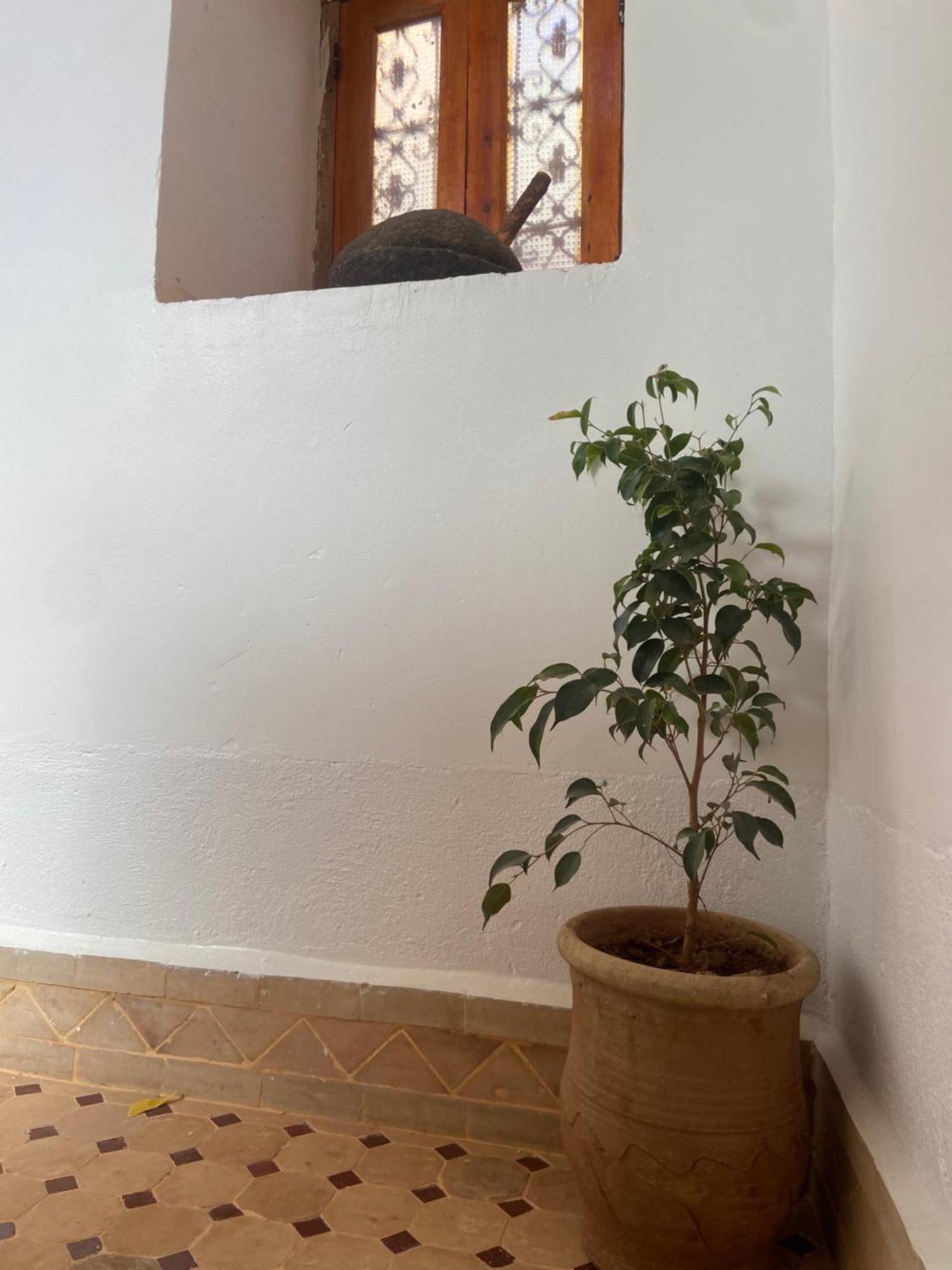 Tafsut Dades Guesthouse Stay With Locals Tamellalt  Luaran gambar